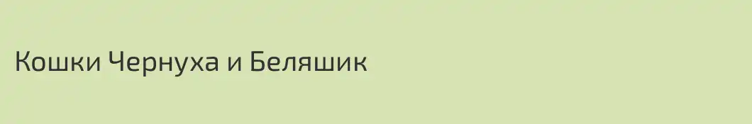 Кошки Чернуха и Беляшик